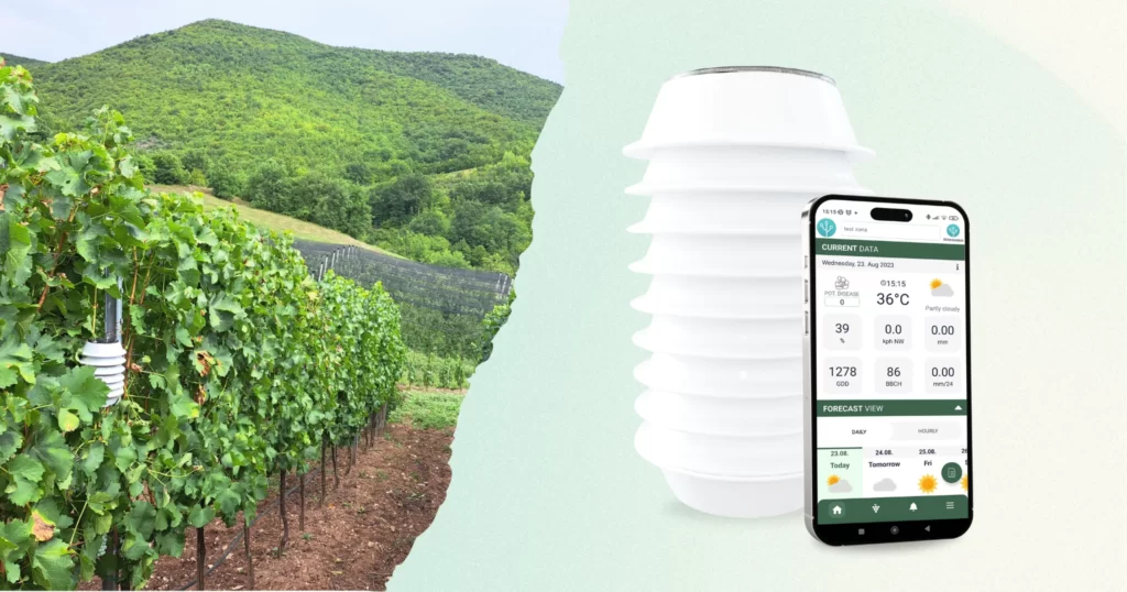 Winessense - nova generacija softverskog alata za vinogradarstvo i analitiku vinograda, postavljen u vinogradu sa senzorima i mobilnom aplikacijom