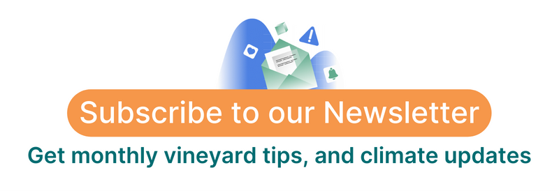 Subscribe to our newsletter