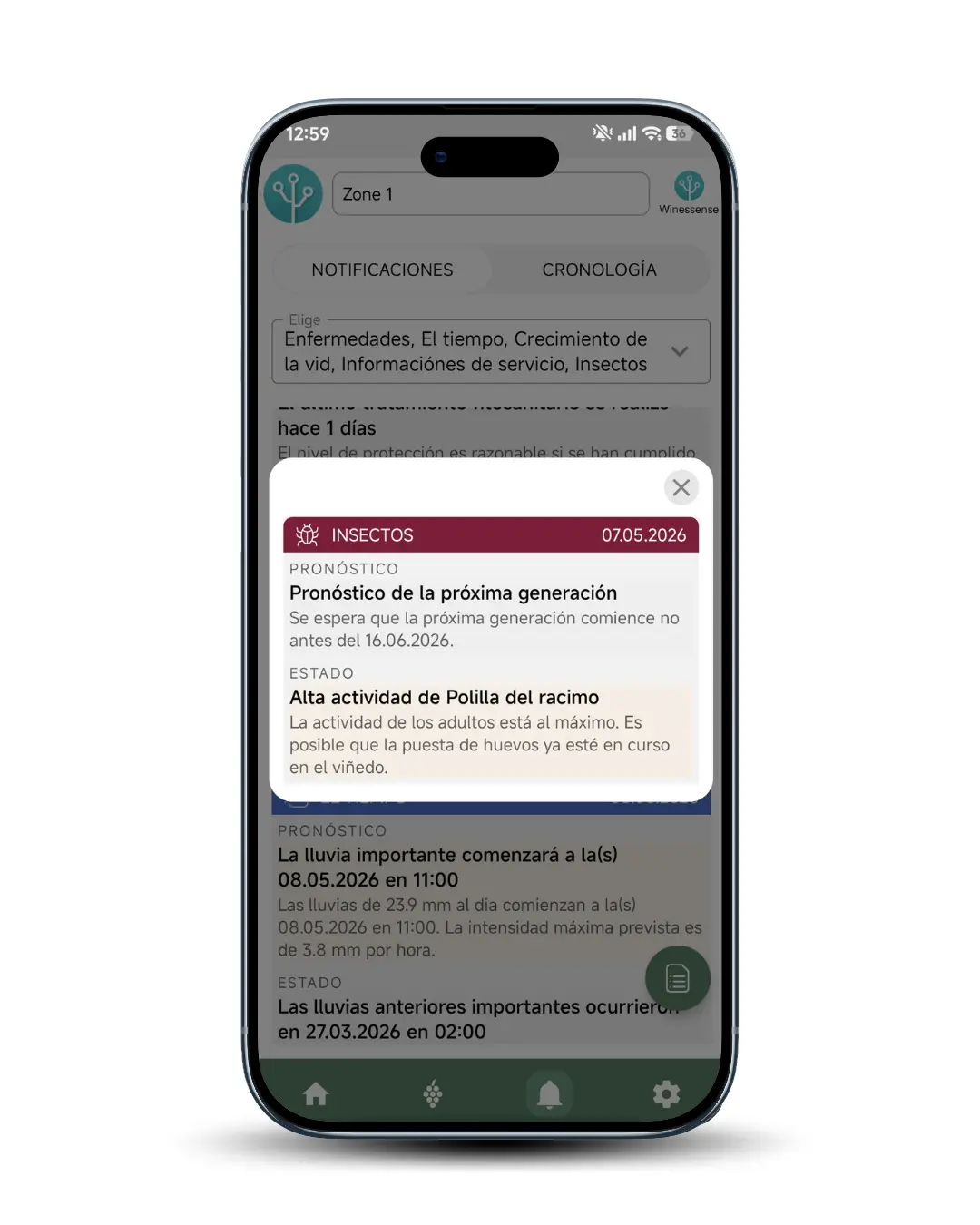 Pantalla de la app móvil con el seguimiento de la polilla del racimo (Lobesia botrana), control de plagas y momento del tratamiento.