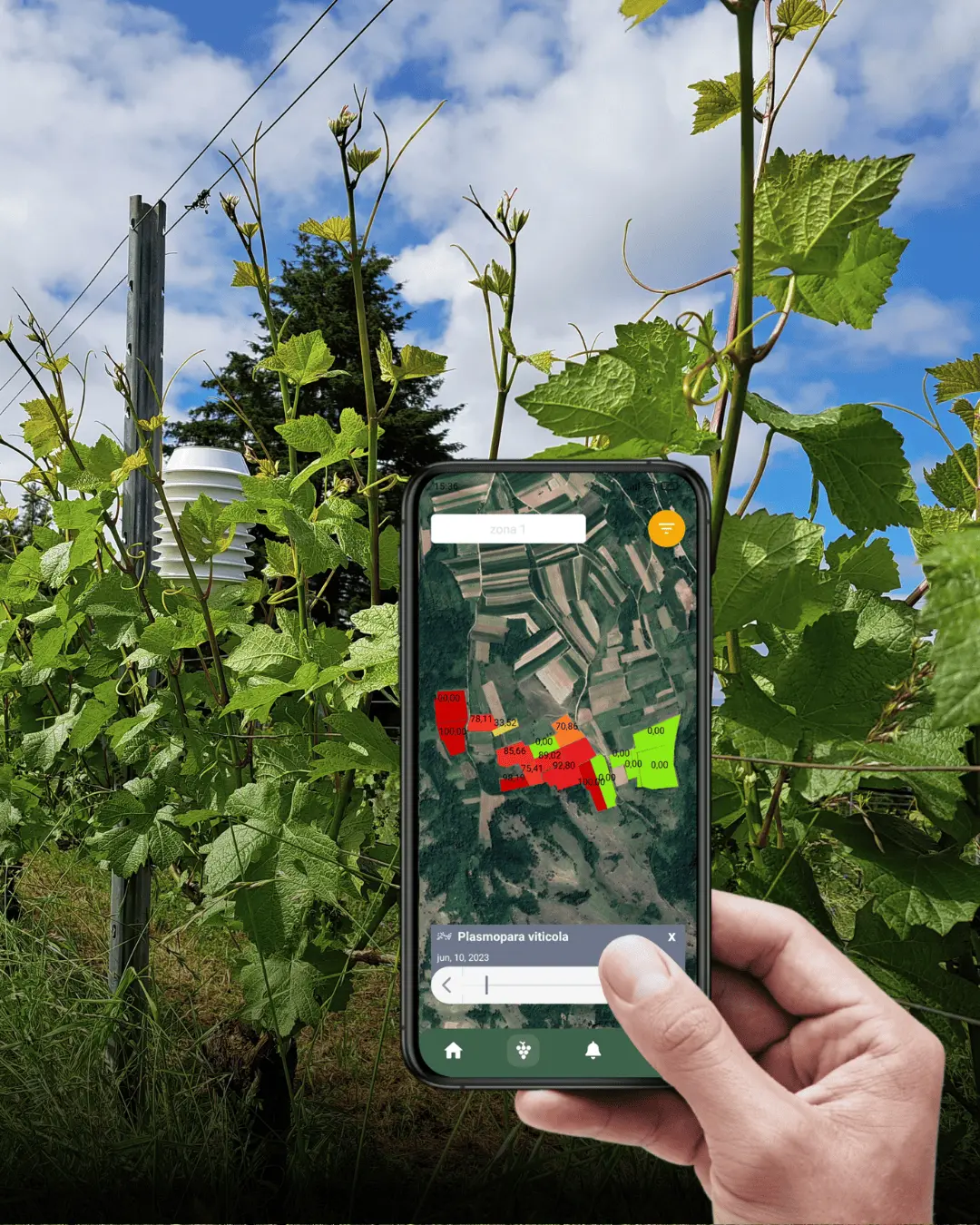 app i senzor u vinogradu, zastita vinograda, pametno vinogradarstvo