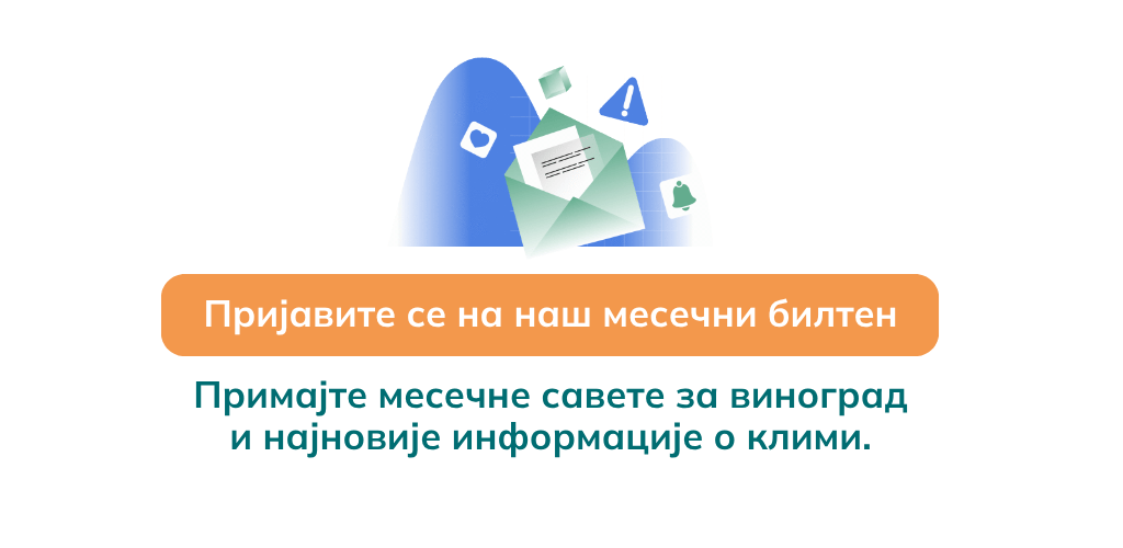 Subscribe to our newsletter